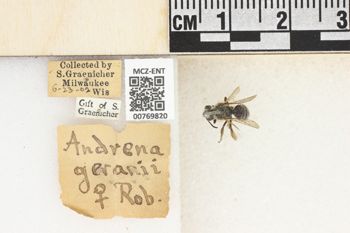 Media type: image;   Entomology 769820 Aspect: Labels
